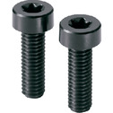 Plastic Screws - Hexalobular Socket Head Cap Screw with Low Profile - RENY